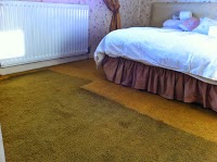 Cleaning Doctor Carpet and Upholstery Services Fermanagh and West Tyrone 1054536 Image 3